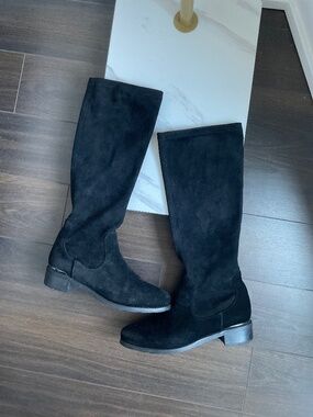Artica Suede Tall Boots